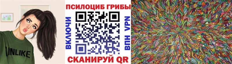Псилоцибиновые грибы мицелий  Богородск 